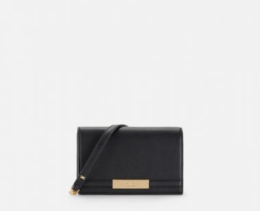 Elisabetta franchi Borsa