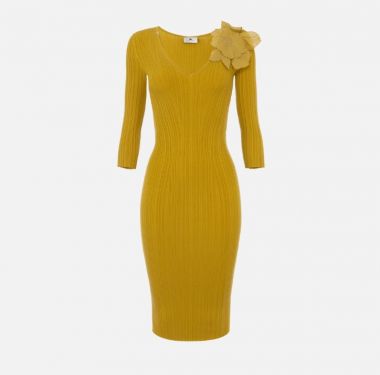 Elisabetta franchi Abito maglia