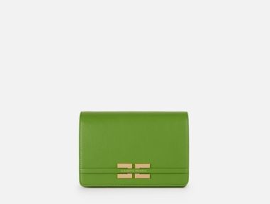 Elisabetta franchi Borsa